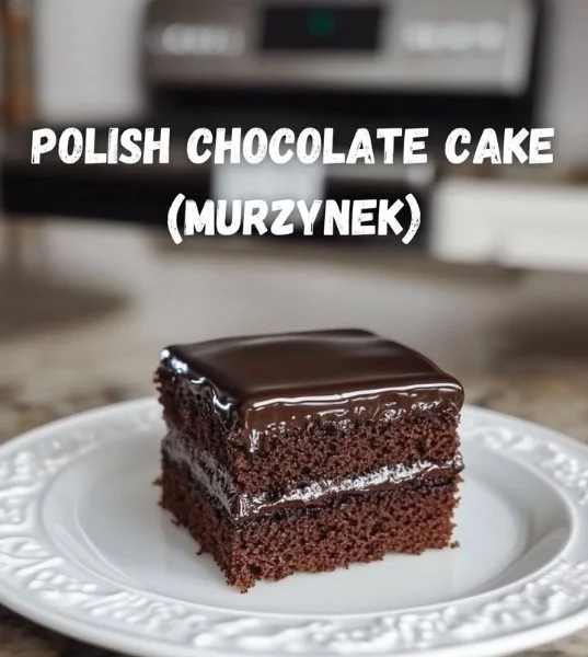 Czekoladowe ciasto Murzynek na talerzu z pysznymi dodatkami